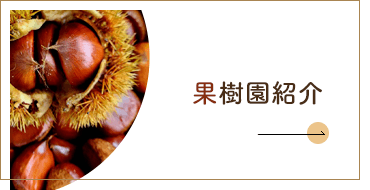 園内紹介