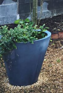 ビフォーアフター