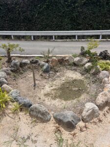 メダカ池