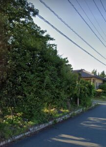 倒木抜根後の駐車場と花壇造園