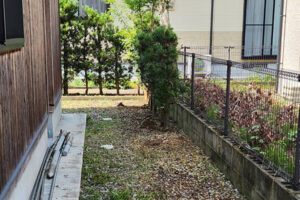 サンプル